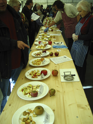 Apple day в Англії - велике свято здоров'я для любителів яблук