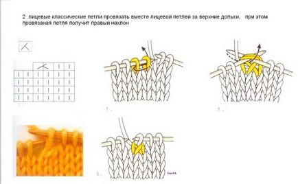 Бактус спицями для початківців (з описом)