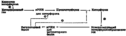 індуктори інтерферону