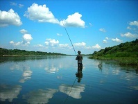 Яка риба водиться в річці ока (річці) Яка риба водиться в річці ока