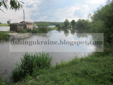 Калуга ока на що ловити рибу на сайті (рибу) Калуга ока на що ловити рибу на сайті