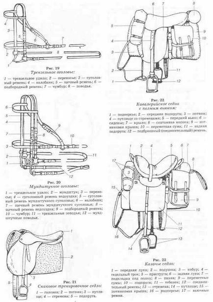 Кінська упряж і сідла