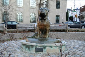 Король собак, північна перлина ханна