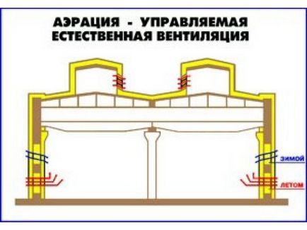 Мох на газоні як позбутися причини і засоби як боротися