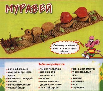 Мураха - вироби з грезкіх горіхів та іншого природного матеріалу (чашечки жолудів фото) Мураха - вироби з грезкіх горіхів та іншого природного матеріалу