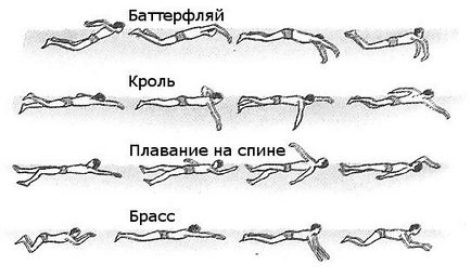 На воді, як на суші як навчитися плавати портал (швидко навчитися плавати) На воді, як на суші як навчитися плавати портал