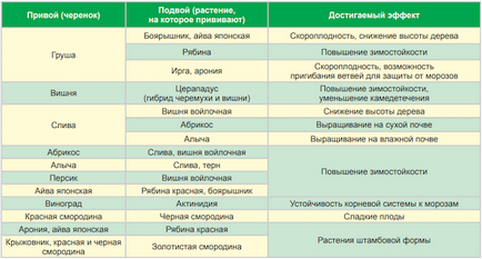 Незвичайні щеплення - що на що можна прищепити