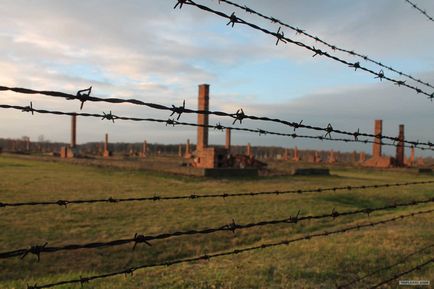 Освенцим - номери автомобілів на - сайт про мічених владою