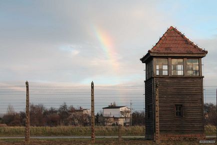 Освенцим - номери автомобілів на - сайт про мічених владою