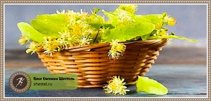 Користь липового чаю для організму (організму) Користь липового чаю для організму