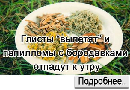 Проста порада, як реанімувати орхідею, якщо згнили навіть коріння - корисні поради