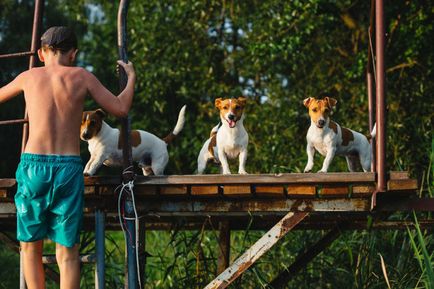 Ах, літо 25 чарівних моментів з шкільних канікул, проведених в селі (літо) Ах, літо 25 чарівних моментів з шкільних канікул, проведених в селі