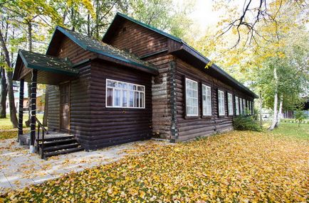 Богородская дерев'яна іграшка - історія українських народних художніх промислів