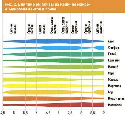 Фіалки на підвіконні, коригування кислотності грунту