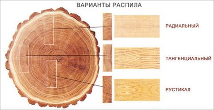 Як вибрати паркет огляд видів, характеристик і типів паркету