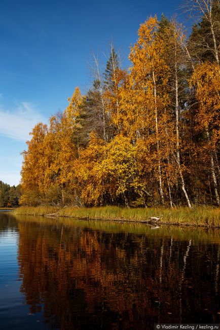 Ладозьке шхери