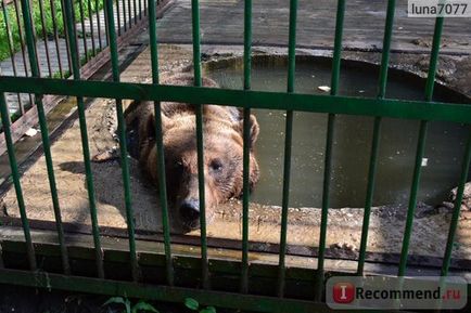 Національний парк орловське полісся, орловський область - «зоопарк в Орловському полісся - там