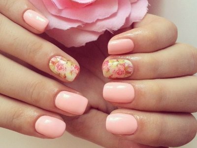 Ніжний манікюр на коротких нігтях 2017 фото і нові ідеї (ніжний) Ніжний манікюр на коротких нігтях 2017 фото і нові ідеї
