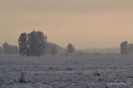 Одне морозне туманний ранок, блог фотолюбителя