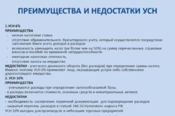 Особливості реєстрації ип за ССО