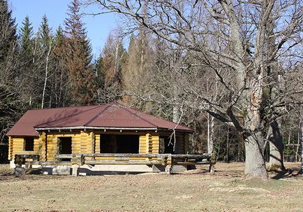 Вівчарство як управляти господарством і залишатися на плаву