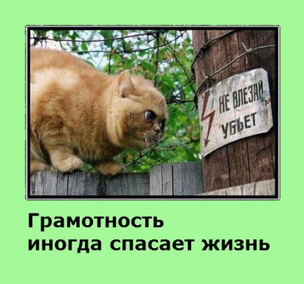 Правильно вживайте дієслова! (Чи можна грамотній людині «садити капусту» і кудись «залазити» .❕ їхати. Всі знають) Правильно вживайте дієслова!