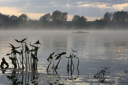 Пророцтва майя, кінець світу відміняється або відкладається