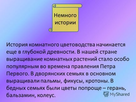 Презентація на тему навіщо людям потрібні кімнатні рослини виконала александрова елизавета, 2 а