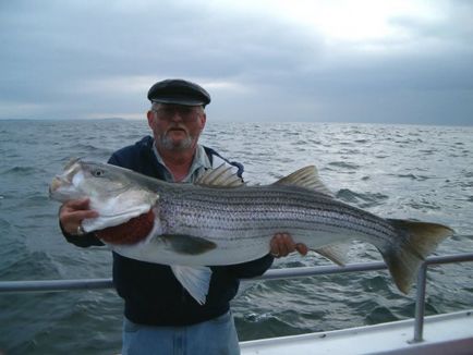 Риболовля в криму на море з берега, рибалка в криму на озерах