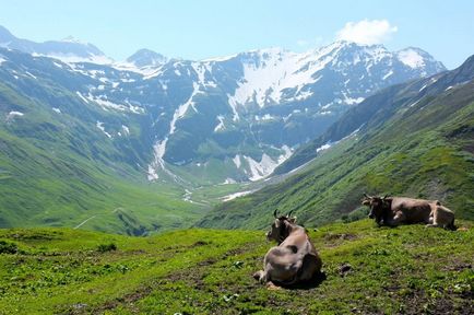 Найвищі гориУкаіни і європи опис, фото