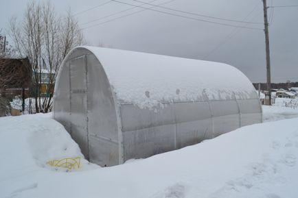 Поради з вирощування овочів в теплиці - вдалі поради