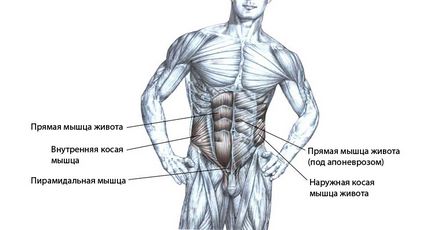 Вправи для преса для чоловіків, які дають результат