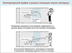 Ведення графіка базальної температури