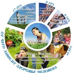 Здоров'я здорової людини, бади, вітаміни, фітопрепарати і багато іншого (стадія якої організм) Здоров'я здорової людини, бади, вітаміни, фітопрепарати і багато іншого