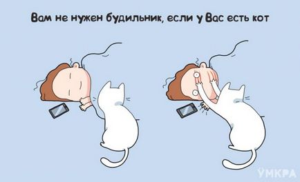 10 Плюсів життя з котом, умкра