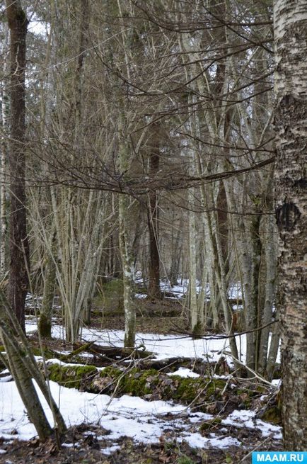 авторські замальовки