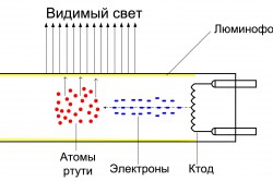 Що робити, якщо розбився енергозберігаюча лампа