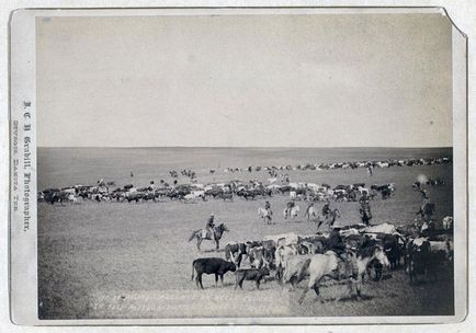 Фотографії дикого заходу кінця 19-го століття, fresher - найкраще з рунета за день!