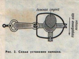 Капкан на лисицю, велике полювання (капкан) Капкан на лисицю, велике полювання