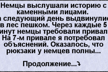 Коли ці собаки бачать воду, вони не можуть зупинити себе і граються, як діти!