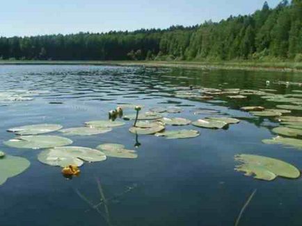 Місця сили в сибіру (сибіру) Місця сили в сибіру