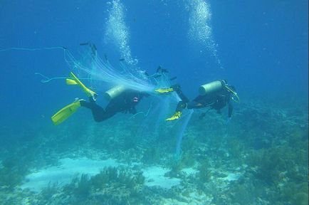 Жила підводна лабораторія вдалий - новини в фотографіях