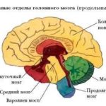 Основні причини виникнення ДЦП при вагітності, спадковість, як лікувати