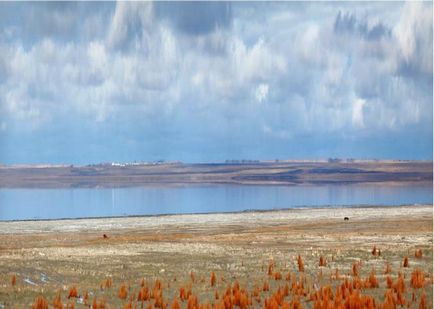 Озера Маріуполь області найпопулярніші водойми