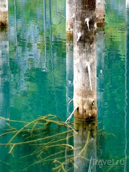 Озеро Каїнди в Казахстані дерева під водою