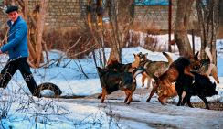 Чому дагестан занурився в морок феодалізму - вільна преса південь - новини сьогодні, 1 березня 2017