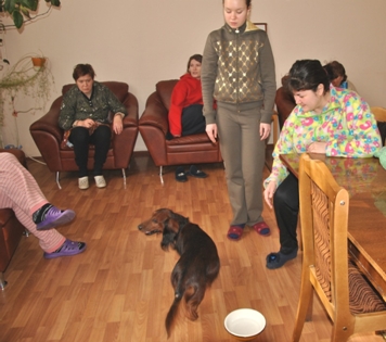 Подолати хворобу психотерапія - зоотерапія - лікування за допомогою тварин - лабіринти розуму (зоотерапія) Подолати хворобу психотерапія - зоотерапія - лікування за допомогою тварин - лабіринти розуму