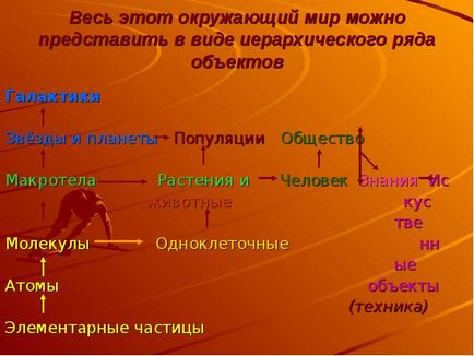 Презентація, доповідь на тему навколишній світ як ієрархічна система (9 клас)