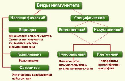 Прибуток і імунітет