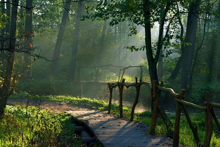 Світанок у річки фото